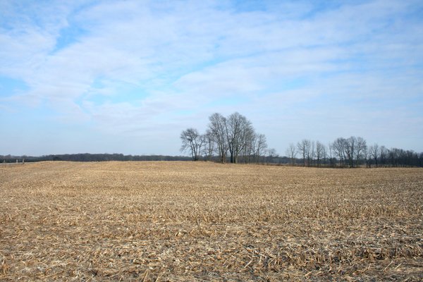 REAL ESTATE AUCTION - 84.5+/- ACRES IN 4 TRACTS IN WHITLEY COUNTY, INDIANA